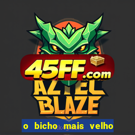 o bicho mais velho da loteria dos sonhos